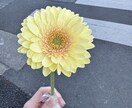 愚痴を受け止め前向きな気づきを届けます 安心して話せるあなただけの時間 イメージ1