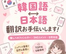 ファンレターや日常の韓国語翻訳をお手伝いします TOPIK6級保持★自然でニュアンスの伝わる韓国語に訳します イメージ1