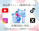 各種SNSに対応した高品質なショート動画作成します 魅力を最大限に伝えて、注目を集めるショート動画作りませんか？ イメージ1