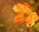 別れる？続ける？そのご縁は今後もアリなのか視ます ✨あなたの魂は果たしてその関係を望んでいるのか？✨ イメージ2