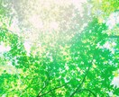 24h以内に返信。タロットで占います 人間関係、恋愛、お仕事etc.お気軽にご相談ください。 イメージ1
