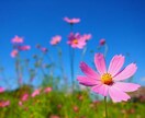 ネガティブからポジティブへ☆全力で受け止めます いつも頑張っているあなたへ♡否定なし⭐️心を癒やして前向きに イメージ8