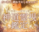 あなたの【運命の相手】【ツインレイ】を鑑定します 恋愛・縁結び・片思い・不倫・相手の気持ち、理想の未来を実現 イメージ1