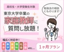東大卒家庭教師が1か月何でも質問に答えます 高校生の学習や受験勉強を総合的に全力サポート！ イメージ1