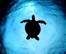 ダイビング教えてます ダイビングのわからない事など相談になります♪ イメージ2