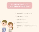 喜びも悲しみも。しっぽちゃんのお話しお聞きします しっぽちゃんとの暮らし、心がほっとする時間をお届けします イメージ2