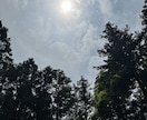 透視・霊視であなたの今後をお伝えします 現状を打破したい方本当にこれでいいのか、などの答え合わせを イメージ3