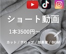 SNSに使える縦型ショート動画の編集を承ります 動画編集をお手軽に任せられます！！ イメージ1