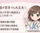 薬学生必見！勉強の悩みや不安を一緒に整理します 薬学生の不安や勉強法・病院実習の悩みを優しく一緒に整理します イメージ1