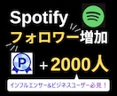 Spotifyのフォロワー2000人増やします 【3月限定最安値】スポティファイ最安値に挑戦中/保証有り○ イメージ2