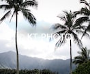 ハワイの素敵な写真を提供します ハワイ在住のプロカメラマンが著作権フリーで画像を提供します イメージ3