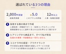 完全丸投げ 履歴書や職務経歴書をプロが作成します ゼロから作成代行/ポイント解説付 総販売実績2000件突破 イメージ4