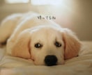 1週間寄り添い❤︎チャットで恋人・友達になります 寂しい夜や日常の報告に♪友達・恋人感覚で優しく寄り添います イメージ8