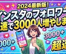インスタのフォロワー最速で3000人ふやします インスタグラム3000人増加、振り分け可能！ イメージ1