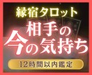 初回限定◆お相手の今の気持ちを縁宿タロットで視ます 12h以内✨片思い/復縁/不倫/恋愛/相手の本音を占います イメージ1