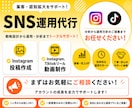 丸投げOK！格安でインスタの運用代行いたします SNS初心者大歓迎！画像作成から投稿まで丁寧にお手伝いします イメージ1