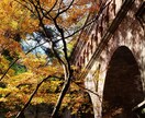 女性目線の写真(主に近畿)販売いたします 主に京都や関西で撮った観光地や自然の写真を販売致します。 イメージ5