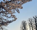 恋に悩む貴方！ポジティブな方向に導きます 一人で抱えなくて大丈夫。モヤを全飛ばしして絶対幸せになろう！ イメージ1