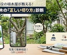 植木屋が教える！お庭の木の正しい切り方診断します 現役植木屋が写真で回答。大切な庭木の手入れを応援！ イメージ1