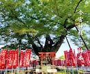 最高吉日にパワースポット神社のご利益をお送ります 【補償対応付き】3月9日 20時に受付終了です！ イメージ3