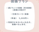 Instagramの運用代行を承ります 現役SNSマーケターが最適プランをご提案！ イメージ3