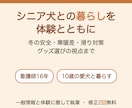 看護師がシニア犬との暮らしの体験記事を書きます シニア犬のあれ？に気づく｜看護16年×愛犬と暮らす イメージ1