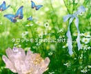 即日鑑定⭐︎あなたのモヤモヤをタロットで占います どうしたら一番いいのか、気軽にタロットに聞いてみませんか？ イメージ2