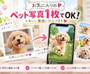 ペット写真1枚から可愛いリール動画15本作ります あなたのペットが主役！15秒のAI動画を15本制作 イメージ2