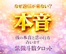 なぜ返信が来ない？　彼の本音と恋の行方を占います 紫微斗数タロットであなたへの本当の気持ちをズバッと占います イメージ1