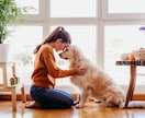 恋の駆け引き解決、恋愛勝ち組になりたい人待ってます 悩んでたって変わらない！進むにはまず相談して違う自分になるの イメージ2