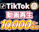 TikTok動画再生1万回〜増やします 【30日保証】│バズ初動演出！│実績139件・評価4.8 イメージ1
