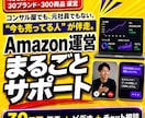 Amazon運用のサポートを行います 今も売っている現役セラーが伴走｜出品・広告・改善まで イメージ1