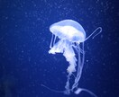 映える写真撮ってきます ブログやインスタ、資料写真を代行して撮影してきます。 イメージ4