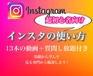 40代以降のインスタ初心者向け！使い方教えます 13本動画／毎日質問し放題の効率的な1ヶ月をサポートします イメージ1