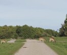 答えを出さなくて大丈夫。あなたのお話を聞きます 1人で抱え込んでしまいがちなあなたへ イメージ2