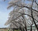 医療事務の方へ。職場での悩みお聞きします 50代医療事務男性です。職場での悩み、愚痴、お聞きします。 イメージ1