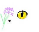 猫の目を専門に書きます キラキラ宝石のような猫の目は魅力的です⭐ イメージ5