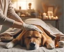 初回限定価格｜ペットを丁寧にヒーリングいたします 大切なペットに元気でいてほしい飼い主様のためのサービスです イメージ8