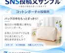 商品説明文とSNS投稿文を作成します 読みやすく伝わる文章を丁寧に作成 イメージ4