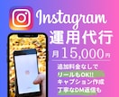 実績30社以上！【¥15,000】で運用代行します プラン内でリールもOK！キャプション、DMもお任せ！ イメージ1