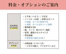 年末限定_50%OFF！背景透明◎表情6点描きます おしゃれで好印象♪ SNSやブログで集客につながるイラスト イメージ2