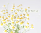 男性限定！女心♡HSPエンパスの私が分析紐解きます 彼女の言動に隠された本音を深掘り♡あなたの恋愛を全力で応援♪ イメージ6