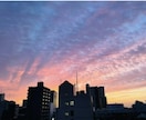 お掃除のお悩み相談いたします お掃除に困ったらアドバイスします。まずお電話下さい。 イメージ4