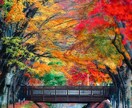 初回｜彼の気持ちや本音…魂から読み解いていきます あなたへの執着、情熱、不安。彼の心の全てを解き明かします。 イメージ2