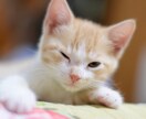 ちょっとだけ話したい、声を出したい、お聞きします 他愛のない話から深刻な話まで何でも話してください イメージ4
