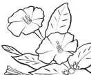 高齢者向けの塗りやすい塗り絵を見本も含めて作ります 12色色鉛筆で塗る事が出来る丁度良い難易度の塗り絵を作ります イメージ2