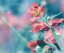 「子育てと仕事」を「両立」しながら頑張っているお母さんへ  「宇宙の法則」で悩みを解決します。 イメージ3