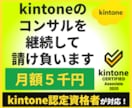 kintoneのコンサルを月額5千円で請け負います 認定資格保持者がコンサルティング業務をお引き受けします イメージ1