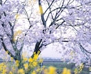 高クォリティーな写真の撮影を代行します 広告写真基準の機材で高クォリティーな写真を提供いたします。 イメージ4