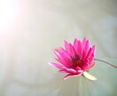 ちょっと息抜きしませんか☆あなたの思いうけとめます ちょっとお話したい時も長くお話したい時も、その時間私に下さい イメージ11